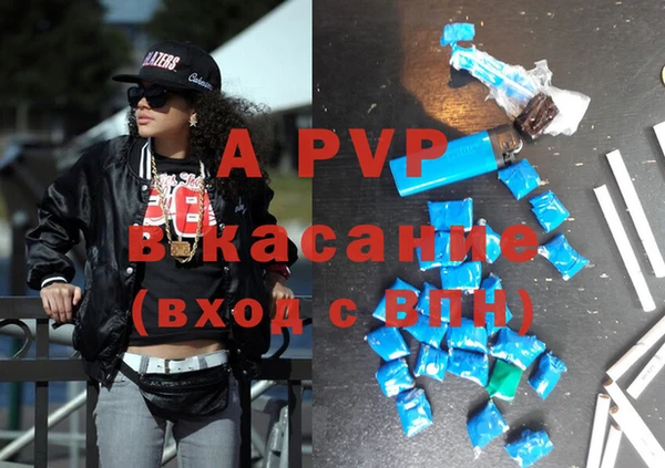 стаф Володарск
