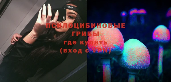 стаф Володарск