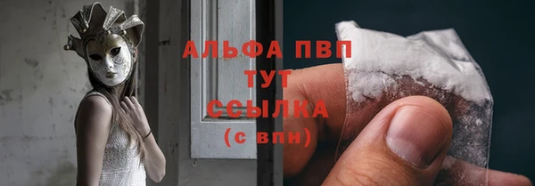 стаф Володарск