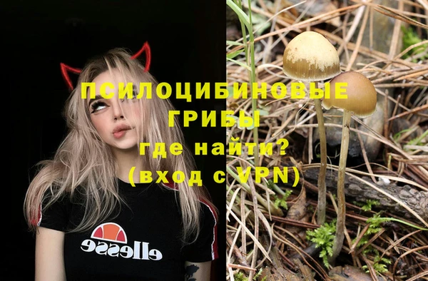 стаф Володарск